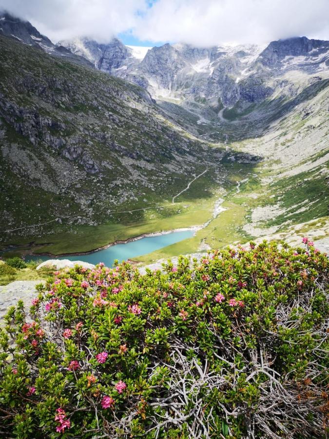 Rifugio Stella Alpina Saviore dell'Adamello