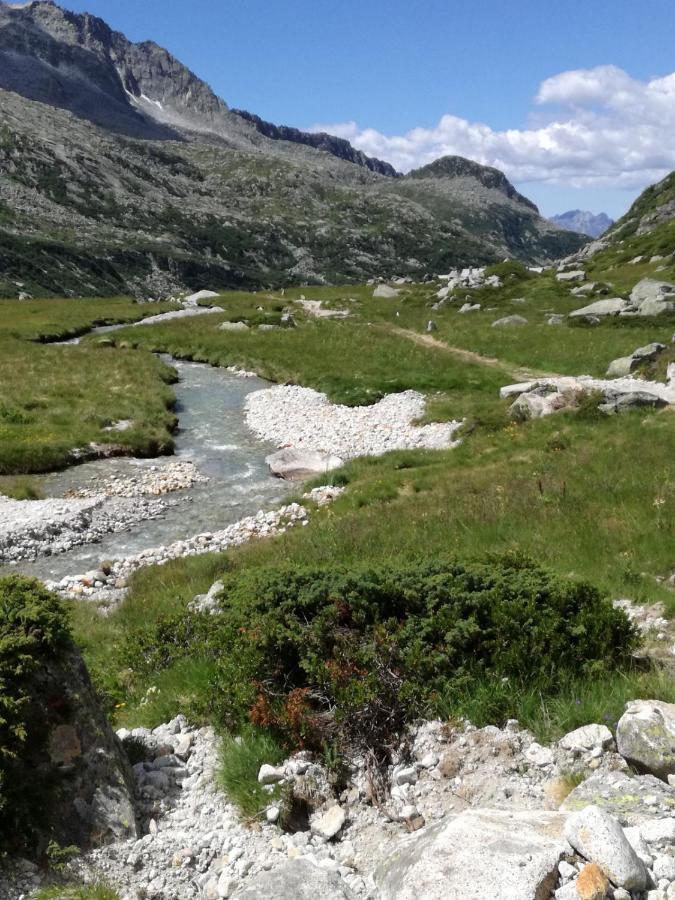 Estalagem Rifugio Stella Alpina *