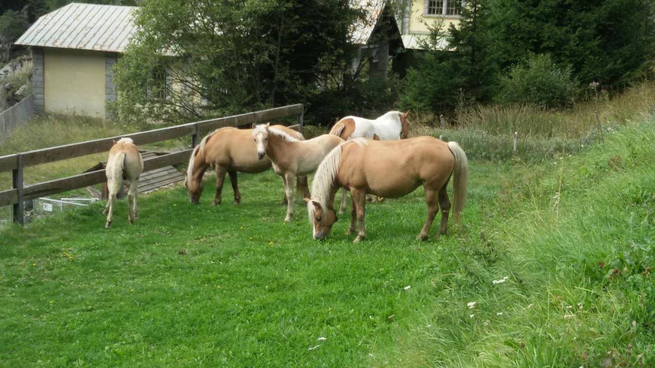 Rifugio Stella Alpina