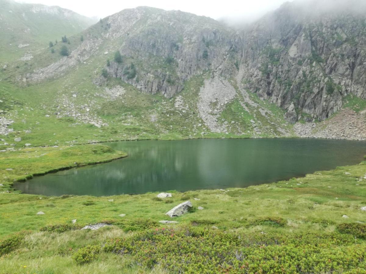 Rifugio Stella Alpina *